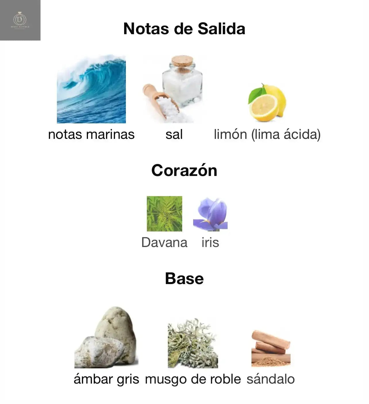 Lattafa Atlas – Eau de Parfum (55ml) | A Força Indomável do Oceano em Fragrância