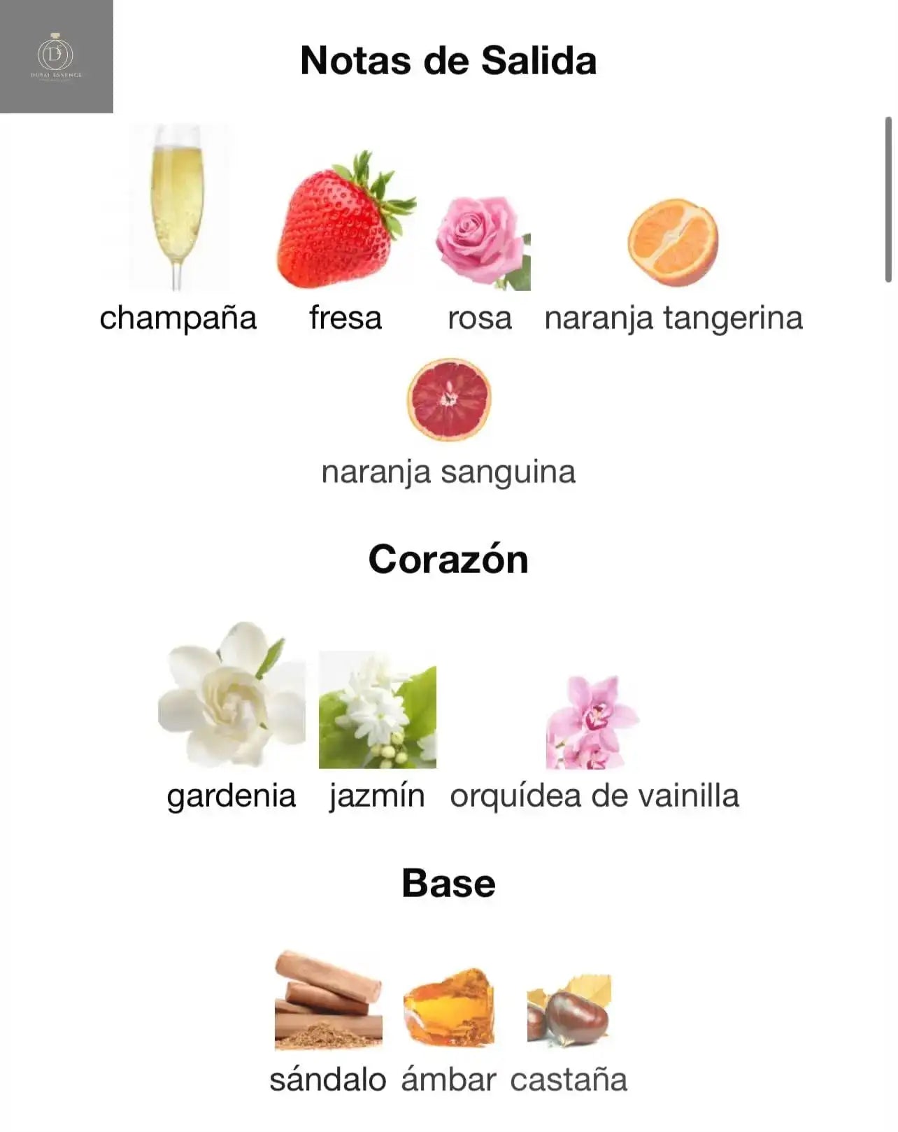 Lattafa Beech Eau de Parfum 100ml  Frescor. Elegância. Feminilidade Natural.